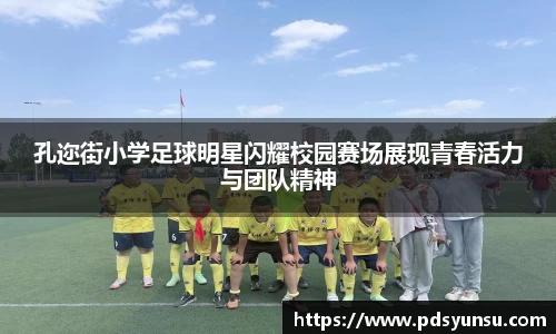 31399金沙娱场城在官网