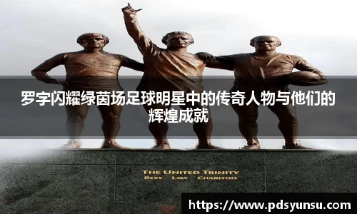 31399金沙娱场城在官网